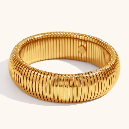 Pulseira TitanBand