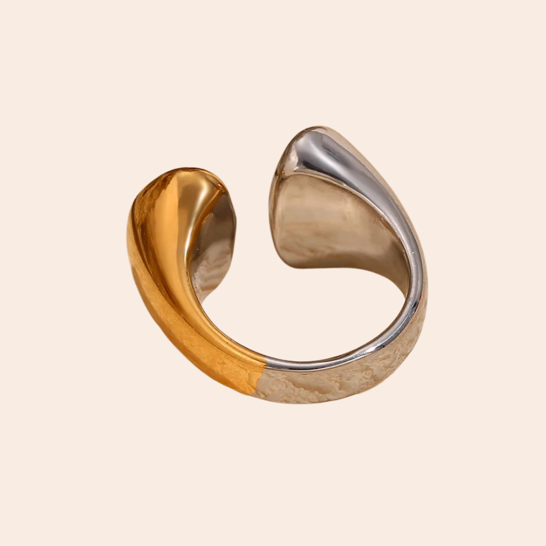 Anel Elegance Duet